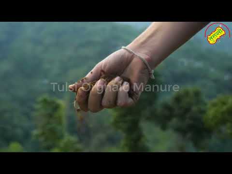 50kg Tulsi Shine Organic Manure