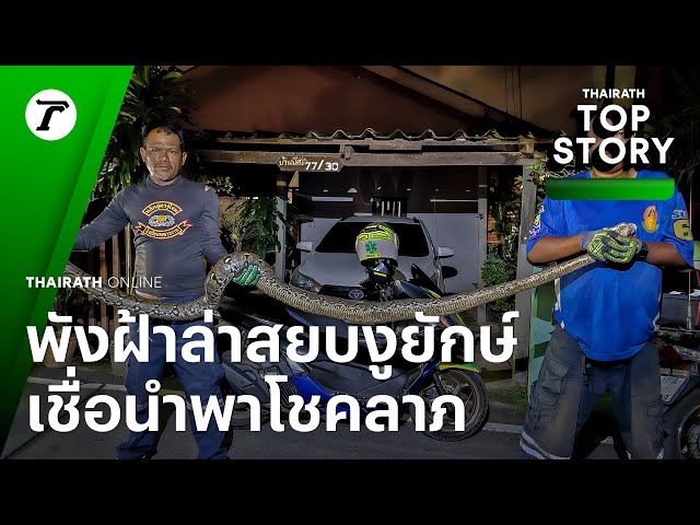 ผวา! งูใหญ่ยาว 3 เมตร ขึ้นหลังคาบุกบ้าน กู้ภัยพังฝ้าล่าสยบ เชื่อนำพาโชคลาภ | Top Story