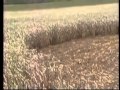 Crop circles: A sign of aliens?