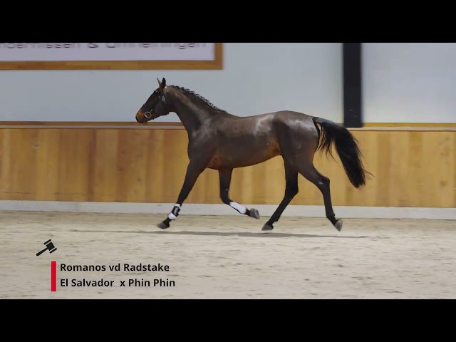 Romanos v/d Radstake