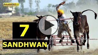(1) Sandhwan (Nawanshahr) Ox Race 17 May 2015