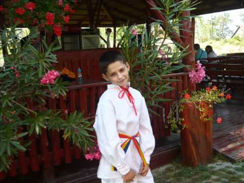 Sebastian Codila  Feciorii lu` tata