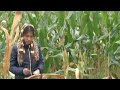 New Choti Golpo Bangla Bangla Choti Natural Trees Garden