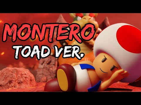 MONTERO (Call Me When You Want) TOAD PARODY Of Lil Nas X