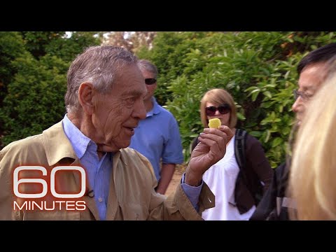 The supertasters flavoring your food: "The Flavorists" | 60 Minutes Archive