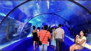 preview picture of video 'Antalya Aquarium 8.2.12 HD'