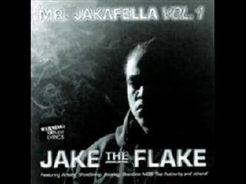 Jake The Flake - Seem Like