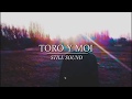 Toro y Moi - Still Sound (Lyrics/Subtitulada)