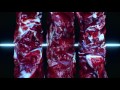 Huoratron Mortality Salience Official Audio