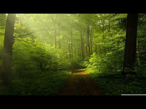 VREMENSKA PROGNOZA - 17.08.2017.