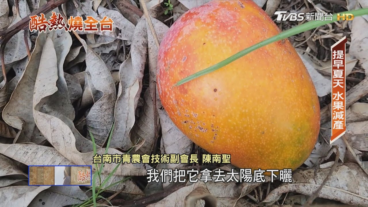 夏天越來越長、水果產量減 瞬間高溫最常出現在「這一區」