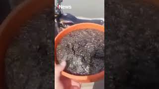 Download lagu Sungai Eufrat Mengering, Warga Suriah Berbondong-bondong Ambil Emas #shorts mp3