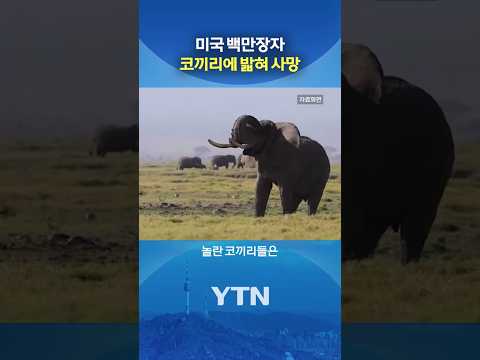 사냥하려다 사망 #shorts / YTN