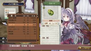 【実況】ロロナのアトリエ 〜アーランドの錬金術士〜をカミカミ実況でグダグダプレイPART28【Atelier Rorona The Alchemist of Arland】