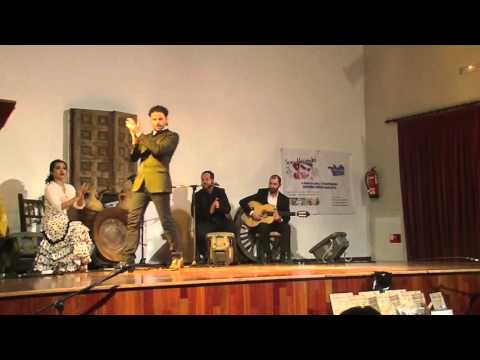 Flamenco Live - Actuacion en Torremolinos 2016