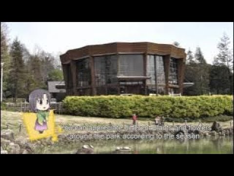 Walking In Date de Chita 5 12 Higashiura cho Higashiura Mirai