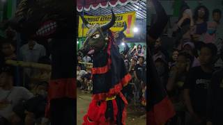 Download lagu SERAM‼️BANTENGAN SURO GALAK#kiyomi #bantengan #bantengansuro #bantenganngamuk #jaranan #ebeg mp3 Download lagu SERAM‼️BANTENGAN SURO GALAK#kiyomi #bantengan #bantengansuro #bantenganngamuk #jaranan #ebeg mp3