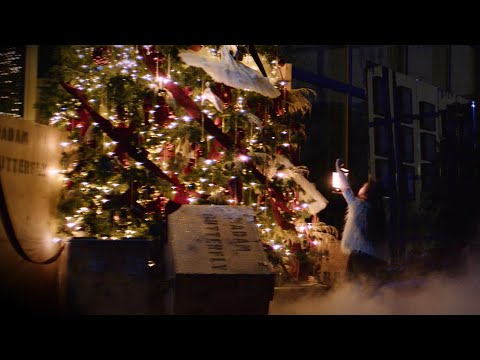 TYLI NAKTIS ✨ Lietuvos nacionalinis operos ir baleto teatras