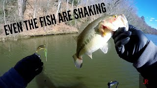 INSANE COLD ( CRAZY OR PSYCOTIC )