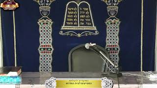 בית המדרש "תורת דוד" ¤ שידור חי ¤ י' אב תשפ"ה (4.8.2024) (מוסדות תורת דוד) - התמונה מוצגת ישירות מתוך אתר האינטרנט יוטיוב. זכויות היוצרים בתמונה שייכות ליוצרה. קישור קרדיט למקור התוכן נמצא בתוך דף הסרטון