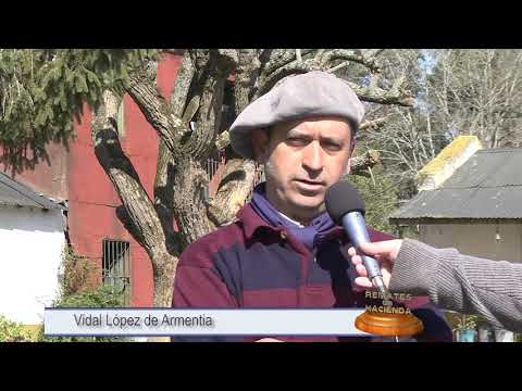 Notas a Vidal López de Armentia y Martin Iriarte