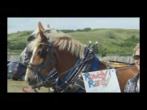 Good Day to Get Gone - Jason Blaine