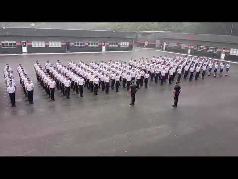 Fora de forma 5cia ESSD 2025