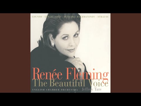 Dvořák: Ciganské melodie, Op. 55, B. 104: 4. Songs My Mother Taught Me