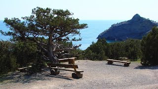 Самые красивые места Крыма. Тропа Голицына. Где стоит побывать!