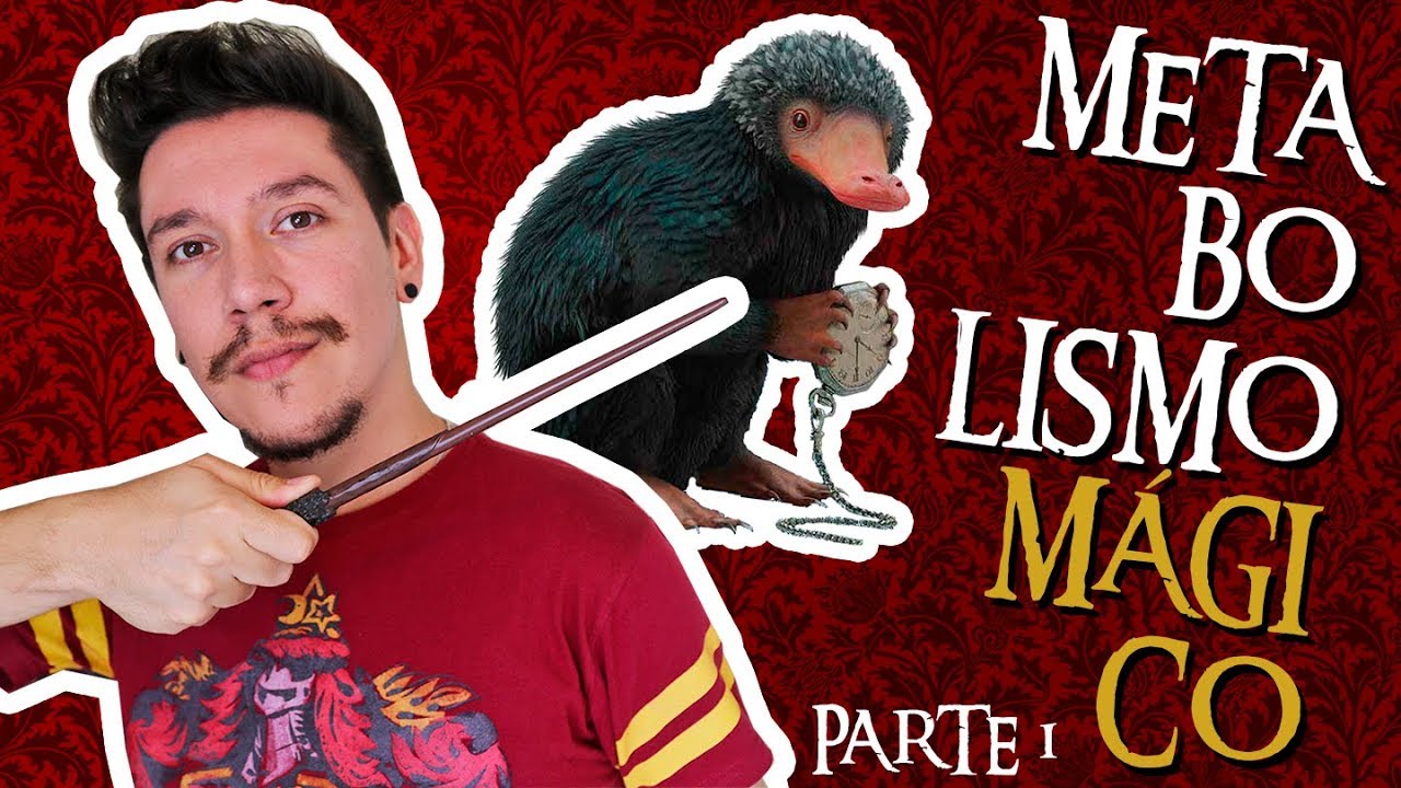 INTRODUÇÃO AO METABOLISMO MÁGICO - PARTE 1 | Bioquímica para Ensino Superior