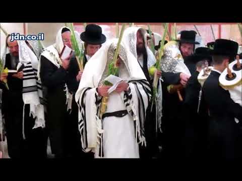 Hoshana Rabbah 5778 With Kapishnitz Rebbe