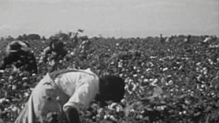 Shuggie Otis - Freedom Flight