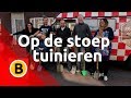 Op de stoep tuinieren