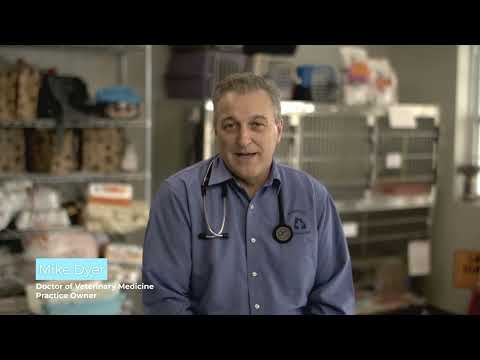 Preventative Care: Why Spay/Neuter Your Pets?