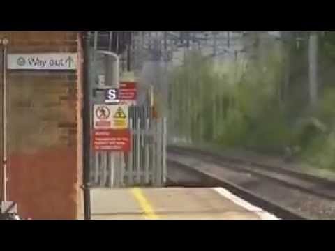 Trains at Cheddington 22/05/13