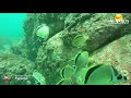 La Isla De La Roqueta Acapulco