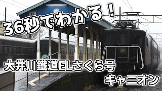 【合作単品】36秒でわかる大井川鐵道ELさくら号キャニオン
