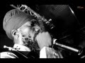 Sizzla  - Can't Hurt The Mind