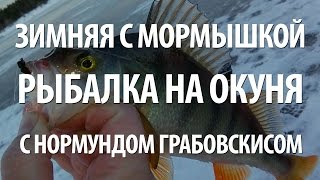 Нормунд грабовскис ловля окуня зимой