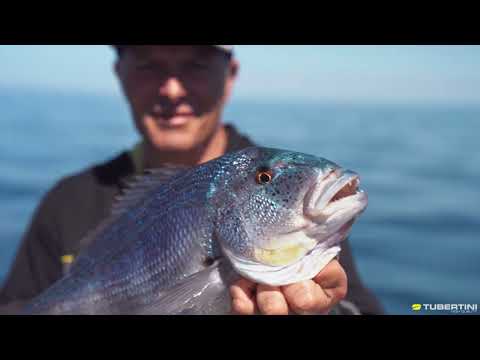 Meloria - Dentici in verticale con Marco Volpi (Tubertini)