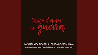 Avi Castellet I Cor - Davallant la Muntanya