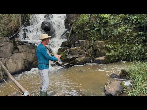 Who would have imagined they'd be at that little waterfall, fishing for tilapia, I caught more th...