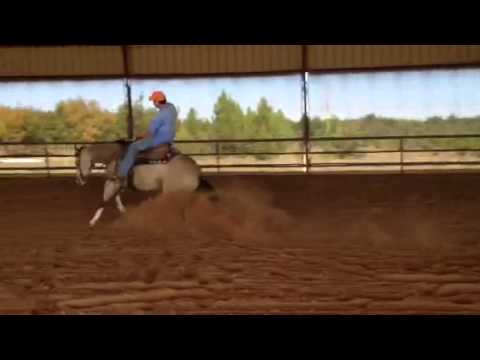 Hollywood silver gun - slide