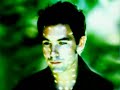 Duncan Sheik - Chimera