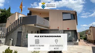 Ple municipal 29 de novembre de 2024 - ExtraordinÃ ria