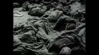The Rape of Nanking: Nanjing Massacre