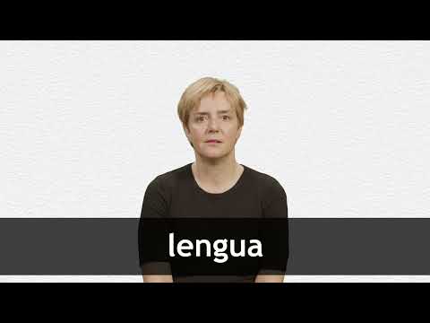 English Translation of “LENGUA” | Collins Spanish-English Dictionary