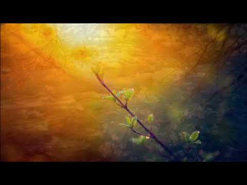 Vangelis   Come To Me feat  Caroline Lavelle