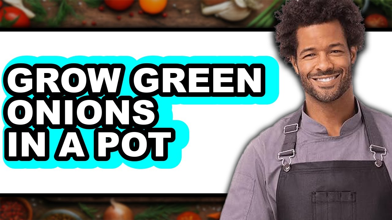 How to Grow Green Onions in a Pot (UPDATED)