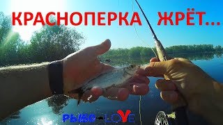 Какие мушки нужны для ловли красноперки